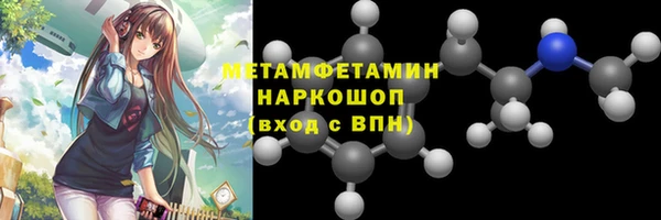 ГАЛЛЮЦИНОГЕННЫЕ ГРИБЫ Богданович