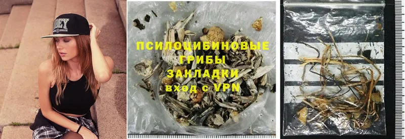 Псилоцибиновые грибы Psilocybe  Долинск 